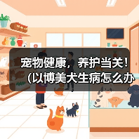 宠物健康，养护当关！（以博美犬生病怎么办？健康小贴士让你掌握！）
