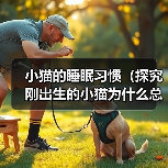 小猫的睡眠习惯(探究刚出生的小猫为什么总在睡觉)(图4) 小猫的睡眠习惯(探究刚出生的小猫为什么总在睡觉)(图4)