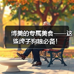 博美的专属美食——这些牌子狗粮必备！
