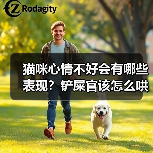 猫咪心情不好会有哪些表现?铲屎官该怎么哄?(图2) 猫咪心情不好会有哪些表现?铲屎官该怎么哄?(图2)