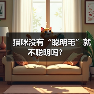 猫咪没有“聪明毛”就不聪明吗?(图4) 猫咪没有“聪明毛”就不聪明吗?(图4)