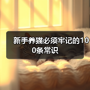 新手养猫必须牢记的100条常识(图4) 新手养猫必须牢记的100条常识(图4)