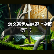 怎么避免猫咪得“空调病”？