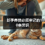 新手养猫必须牢记的100条常识(图2) 新手养猫必须牢记的100条常识(图2)