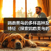 鹦鹉类鸟的多样品种及特征(探索鹦鹉类鸟的丰富多样性及特点)(图2) 鹦鹉类鸟的多样品种及特征(探索鹦鹉类鸟的丰富多样性及特点)(图2)