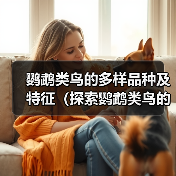 鹦鹉类鸟的多样品种及特征（探索鹦鹉类鸟的丰富多样性及特点）
