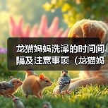 龙猫妈妈洗澡的时间间隔及注意事项(龙猫妈妈洗澡的频率、水温和洗澡方式)(图3) 龙猫妈妈洗澡的时间间隔及注意事项(龙猫妈妈洗澡的频率、水温和洗澡方式)(图3)