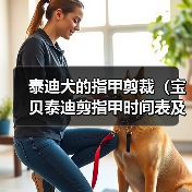 泰迪犬的指甲剪裁（宝贝泰迪剪指甲时间表及注意事项）