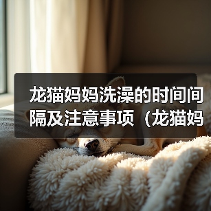 龙猫妈妈洗澡的时间间隔及注意事项(龙猫妈妈洗澡的频率、水温和洗澡方式)(图4) 龙猫妈妈洗澡的时间间隔及注意事项(龙猫妈妈洗澡的频率、水温和洗澡方式)(图4)