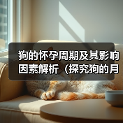 狗的怀孕周期及其影响因素解析(探究狗的月经周期、受孕时间和繁殖能力,)(图3) 狗的怀孕周期及其影响因素解析(探究狗的月经周期、受孕时间和繁殖能力,)(图3)