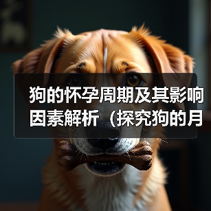 狗的怀孕周期及其影响因素解析(探究狗的月经周期、受孕时间和繁殖能力,)(图4) 狗的怀孕周期及其影响因素解析(探究狗的月经周期、受孕时间和繁殖能力,)(图4)