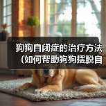 狗狗自闭症的治疗方法(如何帮助狗狗摆脱自闭症困扰)(图3) 狗狗自闭症的治疗方法(如何帮助狗狗摆脱自闭症困扰)(图3)