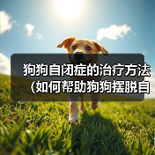 狗狗自闭症的治疗方法(如何帮助狗狗摆脱自闭症困扰)(图2) 狗狗自闭症的治疗方法(如何帮助狗狗摆脱自闭症困扰)(图2)