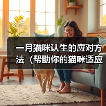 一月猫咪认生的应对方法(帮助你的猫咪适应新环境)(图3) 一月猫咪认生的应对方法(帮助你的猫咪适应新环境)(图3)