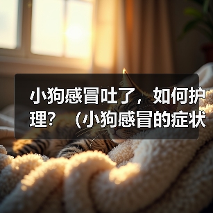 小狗感冒吐了,如何护理?(小狗感冒的症状、原因及护理方法)(图4) 小狗感冒吐了,如何护理?(小狗感冒的症状、原因及护理方法)(图4)