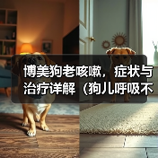博美狗老咳嗽，症状与治疗详解（狗儿呼吸不畅，主人要重视；老年博美常咳嗽，可能存在这些问题。）（图4）