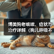 博美狗老咳嗽，症状与治疗详解（狗儿呼吸不畅，主人要重视；老年博美常咳嗽，可能存在这些问题。）（图3）