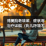 博美狗老咳嗽，症状与治疗详解（狗儿呼吸不畅，主人要重视；老年博美常咳嗽，可能存在这些问题。）
