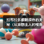 拉布拉多眼睛颜色的奥秘（从宠物主人的视角探讨拉布拉多眼睛的颜色变化）（图3）