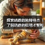 探索鹦鹉的独特特点（了解鹦鹉的聪明才智和多样化能力）