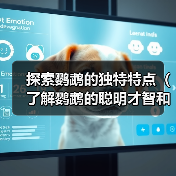探索鹦鹉的独特特点(了解鹦鹉的聪明才智和多样化能力)(图3) 探索鹦鹉的独特特点(了解鹦鹉的聪明才智和多样化能力)(图3)
