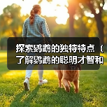 探索鹦鹉的独特特点(了解鹦鹉的聪明才智和多样化能力)(图2) 探索鹦鹉的独特特点(了解鹦鹉的聪明才智和多样化能力)(图2)