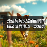 龙猫妈妈洗澡的时间间隔及注意事项（龙猫妈妈洗澡的频率、水温和洗澡方式）