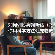 如何训练狗狗听话(教你用科学方法让宠物成为好孩子)(图4) 如何训练狗狗听话(教你用科学方法让宠物成为好孩子)(图4)