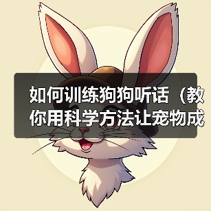 如何训练狗狗听话(教你用科学方法让宠物成为好孩子)(图2) 如何训练狗狗听话(教你用科学方法让宠物成为好孩子)(图2)