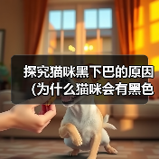 探究猫咪黑下巴的原因（为什么猫咪会有黑色下巴，与猫咪皮肤颜色有关吗？）