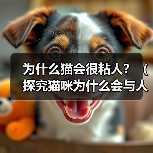 为什么猫会很粘人?(探究猫咪为什么会与人类产生亲密关系的原因)(图3) 为什么猫会很粘人?(探究猫咪为什么会与人类产生亲密关系的原因)(图3)