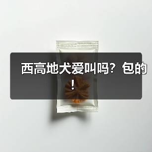 西高地犬爱叫吗?包的!(图2) 西高地犬爱叫吗?包的!(图2)