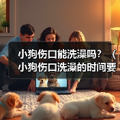 小狗伤口能洗澡吗？（小狗伤口洗澡的时间要掌握好）