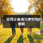 如何正确清洗宠物狗的眼睛