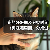 狗的妊娠期及分娩时间(狗妊娠周期、分娩过程及相关注意事项)(图4) 狗的妊娠期及分娩时间(狗妊娠周期、分娩过程及相关注意事项)(图4)