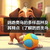 鹦鹉类鸟的多样品种及其特点(了解鹦鹉类鸟的品种和名称,探索其令人惊叹的多样性)(图4) 鹦鹉类鸟的多样品种及其特点(了解鹦鹉类鸟的品种和名称,探索其令人惊叹的多样性)(图4)