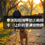 泰迪狗剪指甲的正确频率(让你的泰迪宠物拥有健康的爪子)(图3) 泰迪狗剪指甲的正确频率(让你的泰迪宠物拥有健康的爪子)(图3)