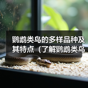 鹦鹉类鸟的多样品种及其特点（了解鹦鹉类鸟的品种和名称，探索其令人惊叹的多样性）