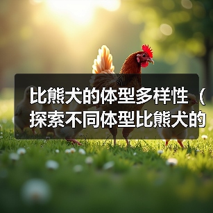 比熊犬的体型多样性(探索不同体型比熊犬的特点与魅力)(图4) 比熊犬的体型多样性(探索不同体型比熊犬的特点与魅力)(图4)