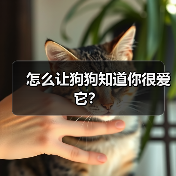 怎么让狗狗知道你很爱它?(图3) 怎么让狗狗知道你很爱它?(图3)
