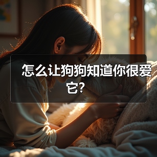 怎么让狗狗知道你很爱它?(图4) 怎么让狗狗知道你很爱它?(图4)