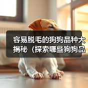 容易脱毛的狗狗品种大揭秘(探索哪些狗狗品种容易脱毛及如何有效应对)(图4) 容易脱毛的狗狗品种大揭秘(探索哪些狗狗品种容易脱毛及如何有效应对)(图4)