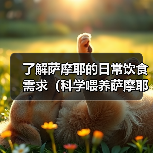 了解萨摩耶的日常饮食需求（科学喂养萨摩耶，让它健康成长）