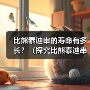 比熊泰迪串的寿命有多长?(探究比熊泰迪串的寿命影响因素及如何延长其寿命)(图3) 比熊泰迪串的寿命有多长?(探究比熊泰迪串的寿命影响因素及如何延长其寿命)(图3)