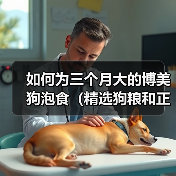 如何为三个月大的博美狗泡食（精选狗粮和正确泡法，让宠物更健康）（图3）