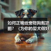 如何正确给宠物狗戴项圈？（为你的爱犬做好这些准备！）