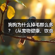 狗狗为什么掉毛那么多？（从宠物健康、饮食、毛发周期、环境等方面来探讨）