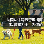 法国斗牛饲养管理指南（以爱宠为主，为你的法国斗牛提供最佳的生活环境）（图3）