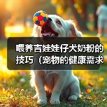 喂养吉娃娃仔犬奶粉的技巧（宠物的健康需求和喂养技巧）（图2）
