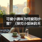 可爱小猫咪为何爱爬纱窗？（探究小猫咪的天性和行为特征，解析为什么小猫咪喜欢爬纱窗）（图2）